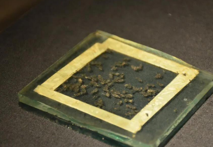粟作为古代主食 这个粟到底要怎么吃的