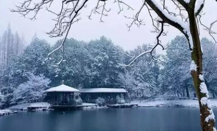 宋代词作之临江仙·冬夜夜寒冰合井赏析，这首词描写了什么场景？