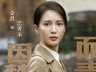 《隐秘而伟大》播放率怎么样？又一谍战剧成爆款