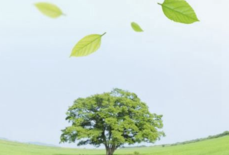 盖姓男孩怎么取名？鼠年有涵养的盖姓男孩大全！
