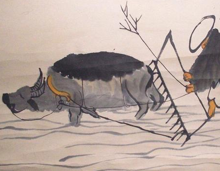 古代真的可以和电视剧随便吃牛肉吗 看完别再被电视剧被骗了