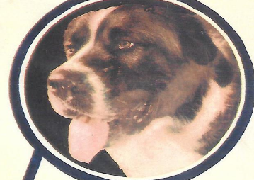 美国作家杰克&middot;伦敦个人哲学观的一个反映：荒野的呼唤