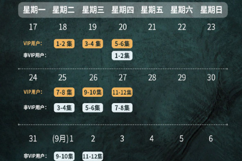 网剧《非常目击》什么时候更新？一周更新几集