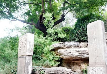 魏忠贤一死明朝为何就垮了 魏忠贤对明朝的影响有多大