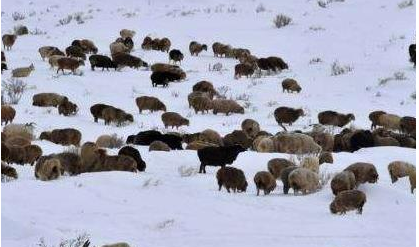 游牧民族究竟是怎么出现的 游牧民族和汉族之间是什么关系