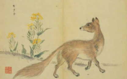 有狐描绘的内容是什么？该如何赏析诗经中的有狐？