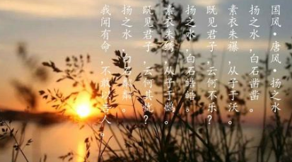 扬之水描绘的内容是什么？该如何赏析诗经中的扬之水？