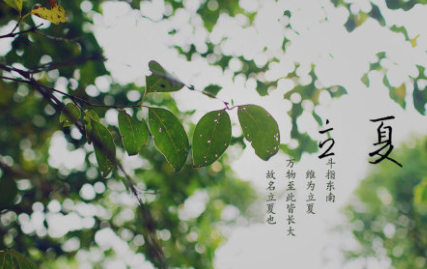 《立夏》的作者是谁？这首诗词的原意是什么？
