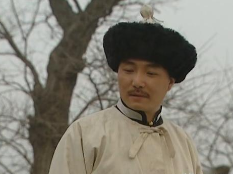 十四阿哥和雍正两人是同父同母的 两人的关系为什么会恶化