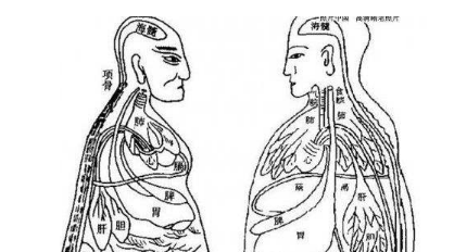 王清任有着哪些学术思想？他的主要成就是什么