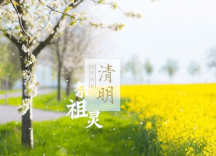 清明节为什么要扫墓？一般认为承袭自寒食节的习俗