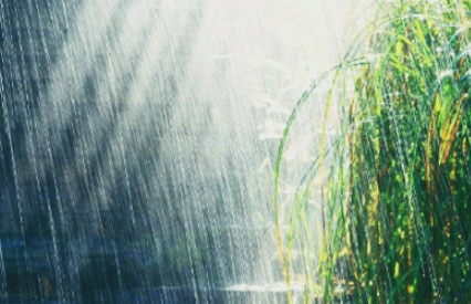 清明时节的气候特点：江南时阴时晴，雨水充沛