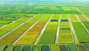 历史上的统治者为什么要重农轻商 为什么商人的地位如何底下呢