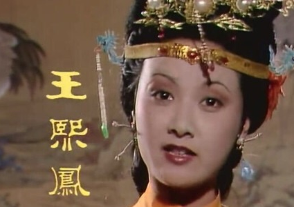 王熙凤：古典小说《红楼梦》中人物，金陵十二钗之一