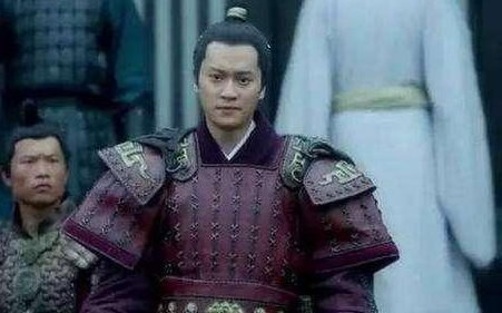 北魏到西魏时期的名将，王思政为何落选关陇集团？