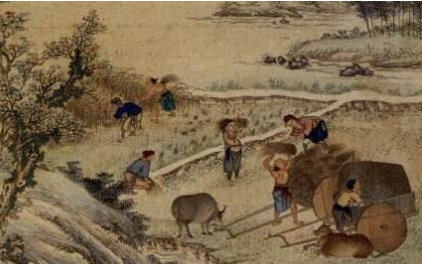 宋诗之禾熟鉴赏，孔平仲在诗中表达了什么情感？