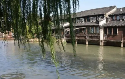13岁才女写下一首咏柳诗，全篇透出了悲凉