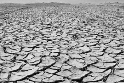 古代饥荒为什么不去河里抓鱼 而是偏偏选择等着被饿死