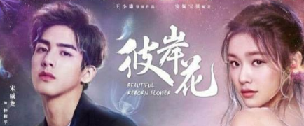 《彼岸花》这是一部什么剧 什么时候播出