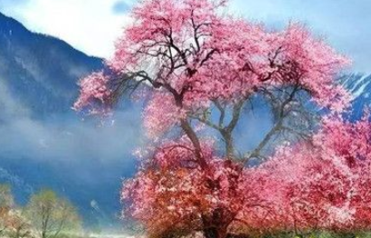 《桃花源记》的作者是谁？《桃花源记》的创作背景是什么？