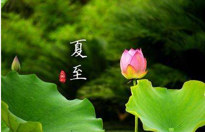夏至节气的养生技巧有哪些?夏至节气该如何出行？