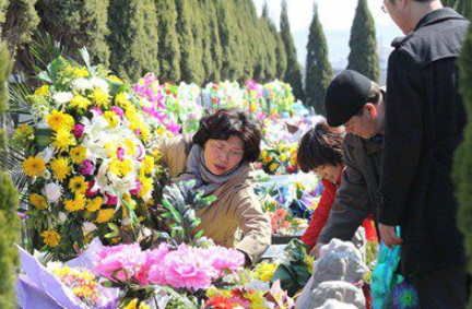 清明节有哪些习俗？海外华人清明节会做什么?