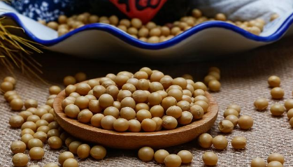 古人做菜时用的都是什么油料呢 一般都放什么油呢