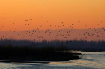 你解忧公主还早的和亲公主！细君公主的结局怎么样？