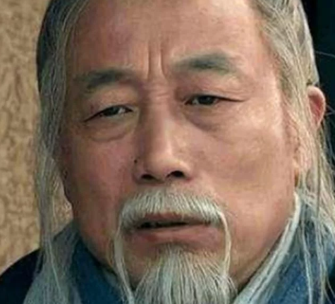 范增作为项羽手下的谋士 范增的实力水平怎么样