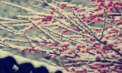 更漏子·雪藏梅描绘了什么场景？该宋词如何赏析？