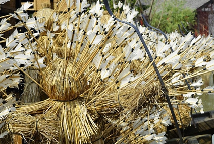 揭秘诸葛亮草船借箭的真相 诸葛亮并没有那么传闻中的那么神奇