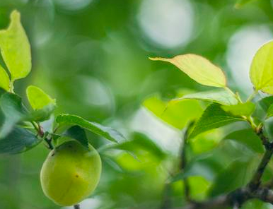 古代喝酒前为什么要温酒 这里面有什么秘密吗