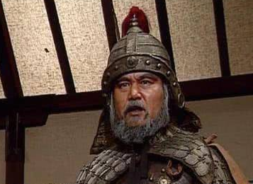 刘禅若不举城投降，姜维能护住蜀国吗？