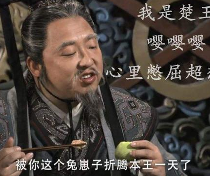 楚怀王熊心是一个傀儡领导者吗 楚怀王到底是不是一枚棋子