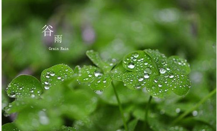 有关谷雨的古诗词有哪些？诗词的译文是怎样的？