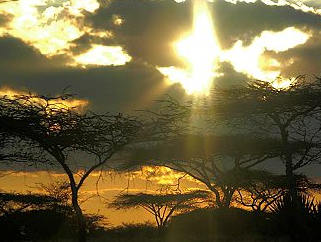 东非大裂谷位于非洲的什么地方 周围附近的环境是什么样的