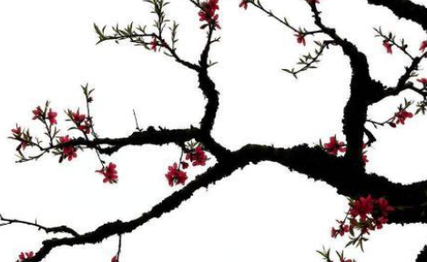 刘禹锡最讽刺的一首诗，因此被贬到了岭南