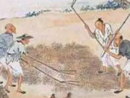 汉朝读书人的实力为什么会那么强 除了读书还有很多副业存在