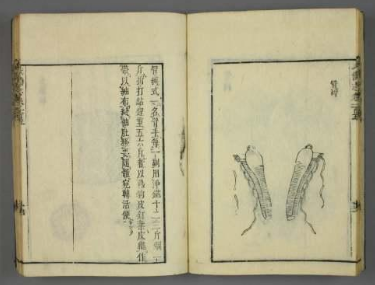 《武备志》是一部综合性的兵书，它与《孙子兵法》有什么区别？