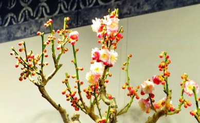 《山路梅花》的原文是什么？这首诗词该如何赏析呢？
