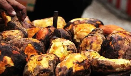 陈振龙：从海外带回一根藤，成甘薯之父