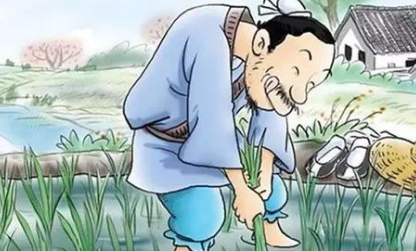 成语典故之拔苗助长，该典故的内容蕴含了什么哲学？