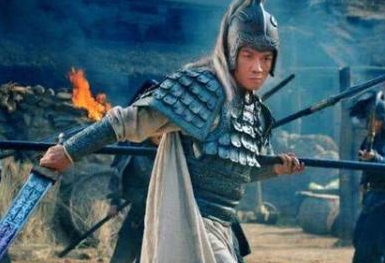 曹军中击败赵云的将军，后来投靠了蜀国