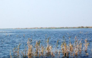 淮河为什么没有出海口？历史上淮河水灾有多严重？