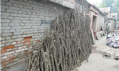 古代拿来当工资用的木头 如今遍地都是很十分的便宜