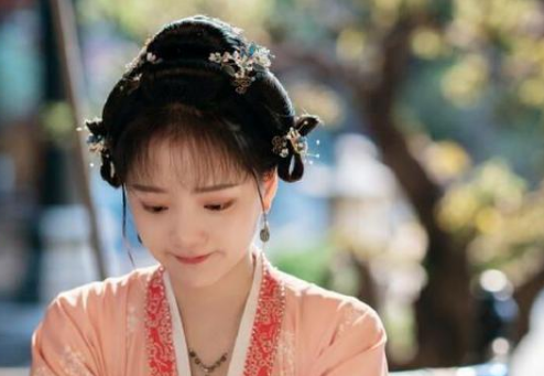 《清平乐》赵徽柔公主真实存在吗？赵徽柔的原型是谁？