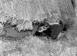 韩国华城连环杀人案中凶手的特征是什么样的 警方又是怎么侦破的