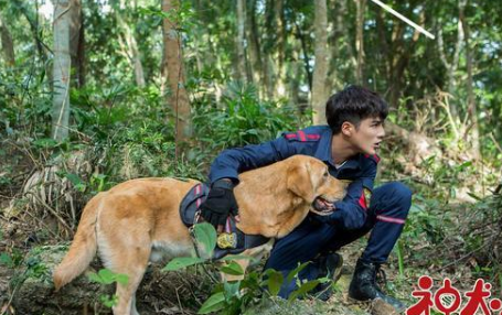 《神犬小七3》为搜救犬真实落泪，吹爆这部暖心剧