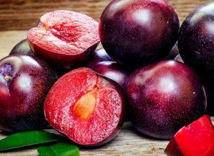 古时候的藩属国都会进贡 一般都会进贡什么呢