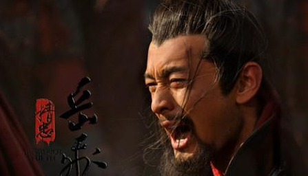 岳飞作为一个忠臣 赵构为什么还要弄死他